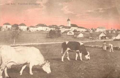 Le village des Bois en 1912, collection O. Pernot