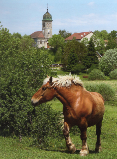 Etival, photo S. Reverchon