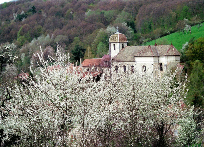 Le site d'Amagney, photo J. Masset 2004
