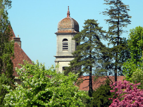 Ancienne collègiale Notre-Dame à Arbois, photo D. Bion