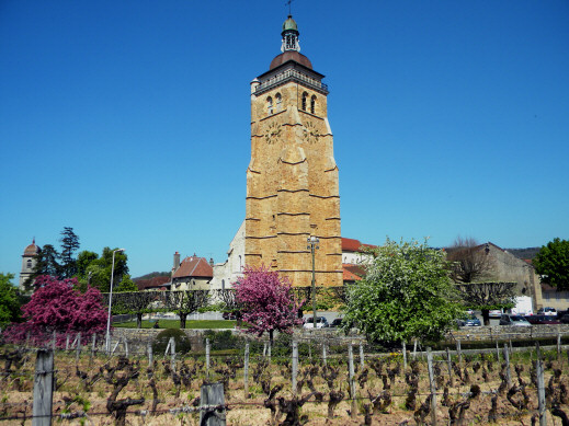 L'église Saint-just au milieu des vignes en 2010, photo D. Bion