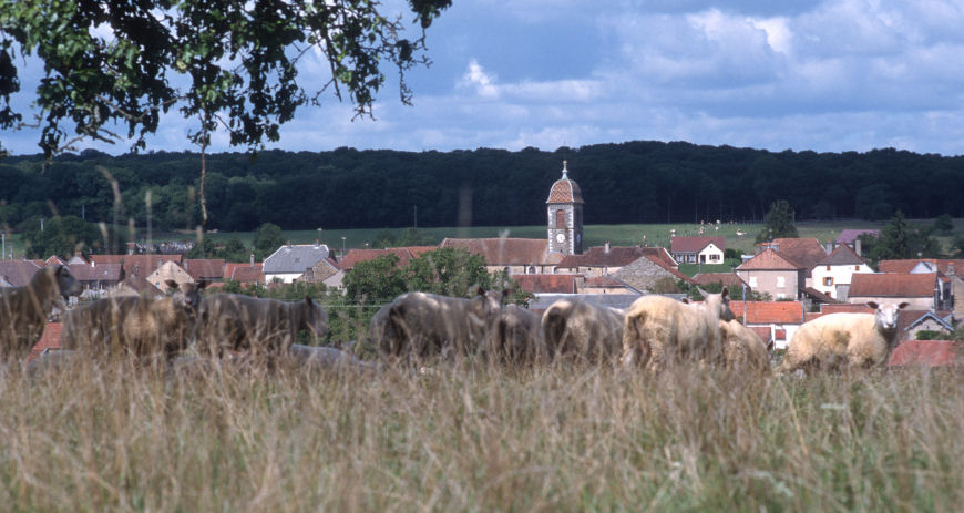 le site d'Augicourt, photo J-M. Coupriaux