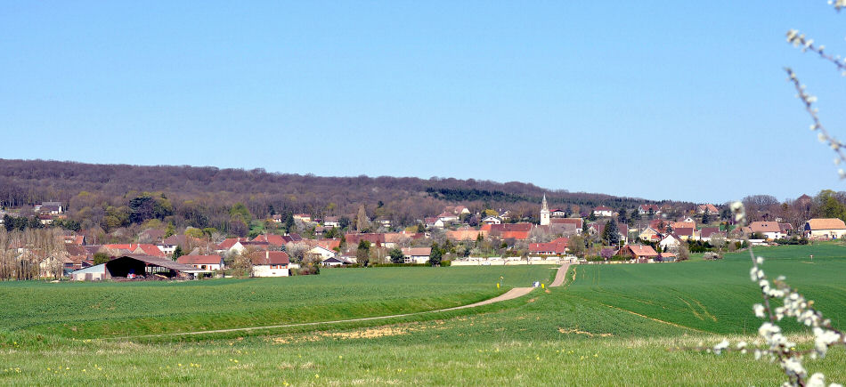 Le site d'Authume, photo M. Morlin