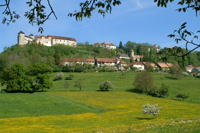 Le site de Belvoir, photo de J. Masset, 2009