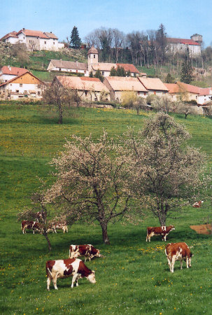 Belvoir, photo de J. Masset, 2004