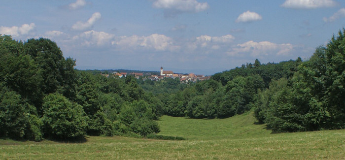 Le site de Blamont, photo J. Masset 2008