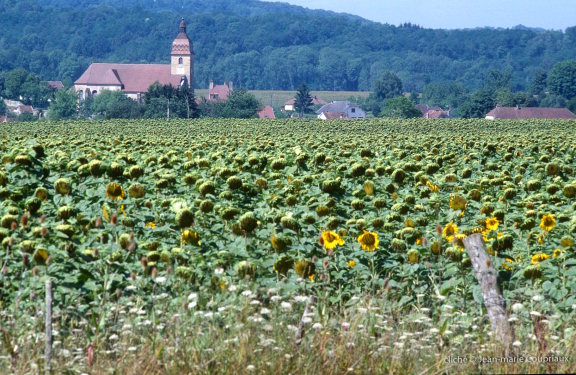 Le site de Breurey-lès-Faverney, photo J.M. Coupriaux