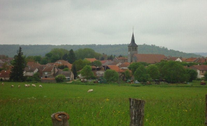 Le site de Breuvannes-en-Bassigny, photo E. Ozenne