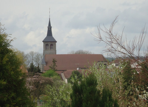 Le site de Breuvannes-en-Bassigny, photo E. Ozenne