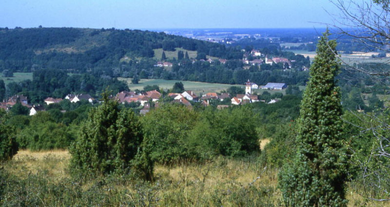 Le site de Buffard en 1986, photo P. Gérard