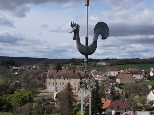 Le coq de l'église de Buthiers, photo E. Rey