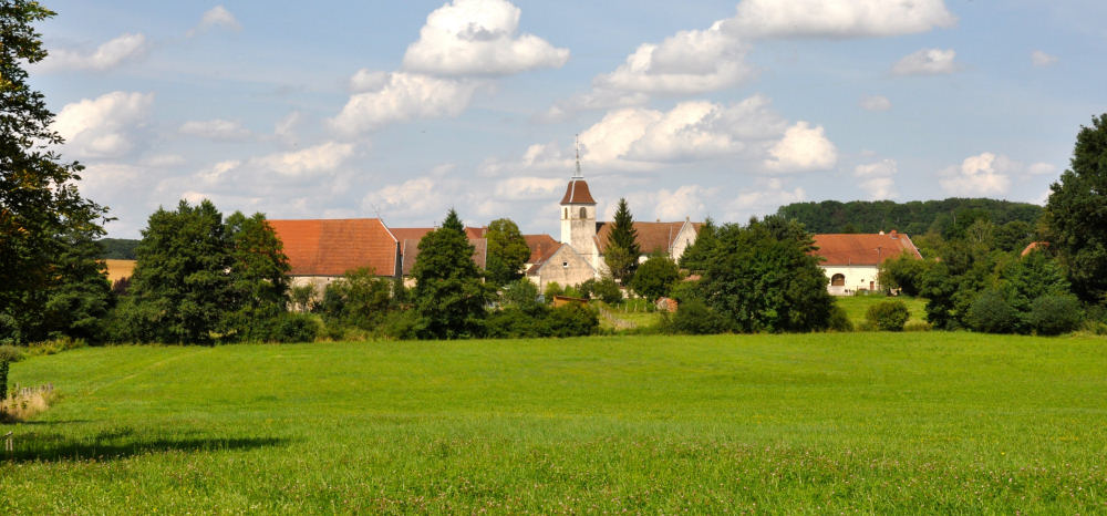 Vue du site de Champtonnay, photo M. Morlin