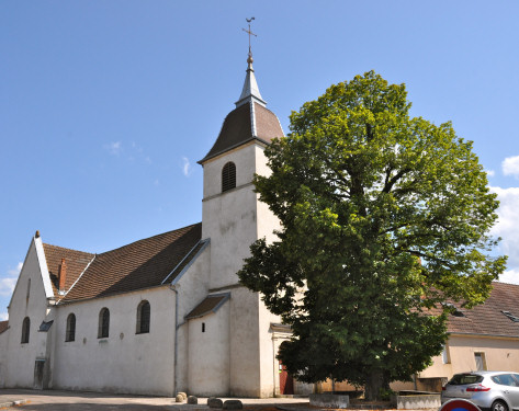 L'église de Champtonnay, photo M. Morlin