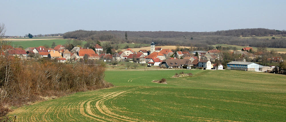 Le site de Chancey, photo M. Morlin