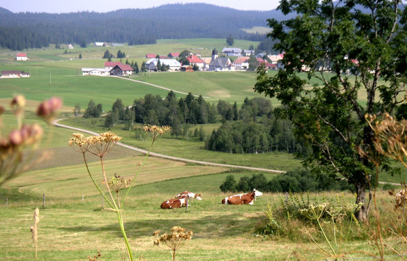 Le site de Chapelle-des-Bois, photo O. Pernot