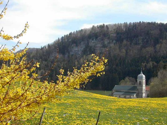 Le site de Chaux-des-Crotenay, photo J. M. Guyon