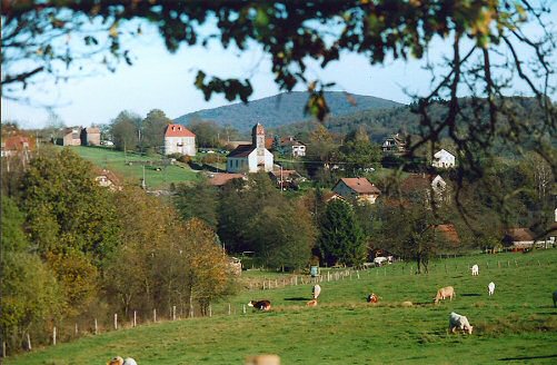Le site de Chenebier, photo J. Masset