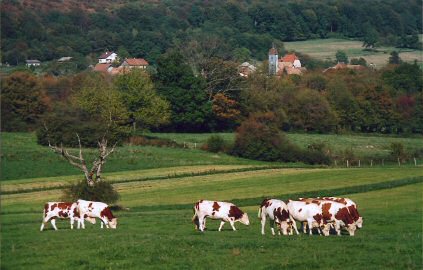 Le site de Crosey-le-Grand , photo J. Masset
