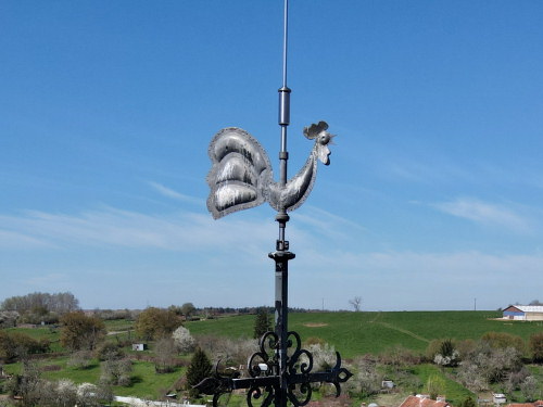 Le coq de l'église de Faverney, photo E. Rey