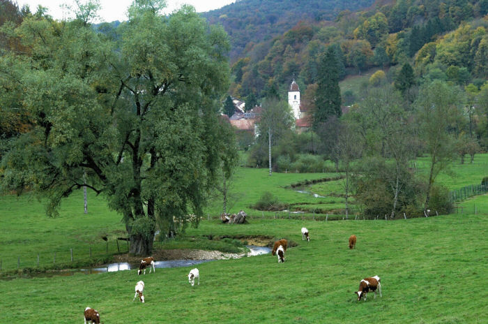 Le site de Glay, photo J. Masset