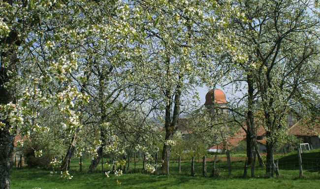 Le clocher de Goux-lès-Dambelin, photo J. Masset
