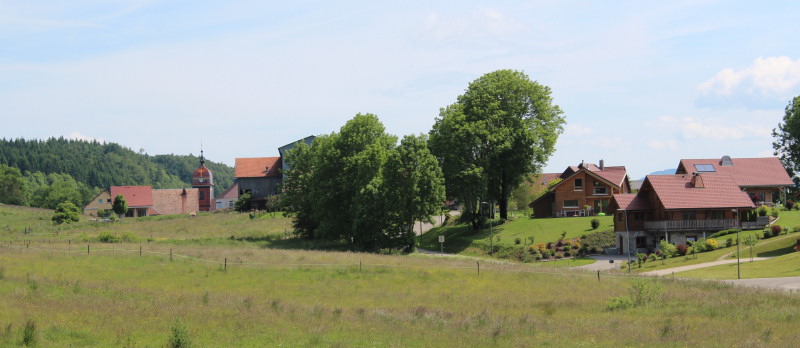 Le site de La Planée, photo O. Pernot