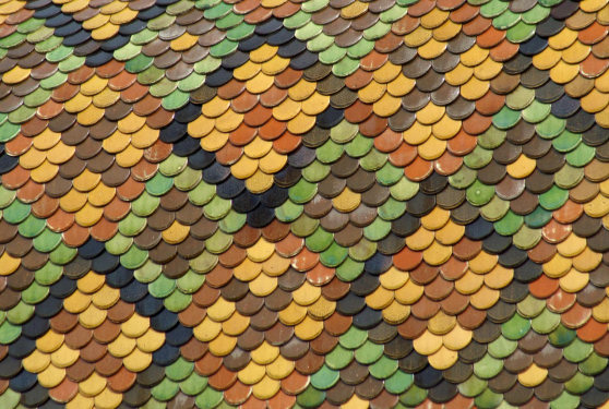 Motif de tuiles de l'église de La Villleneuve-Bellenoye-et-la-Maize, photo J. Masset