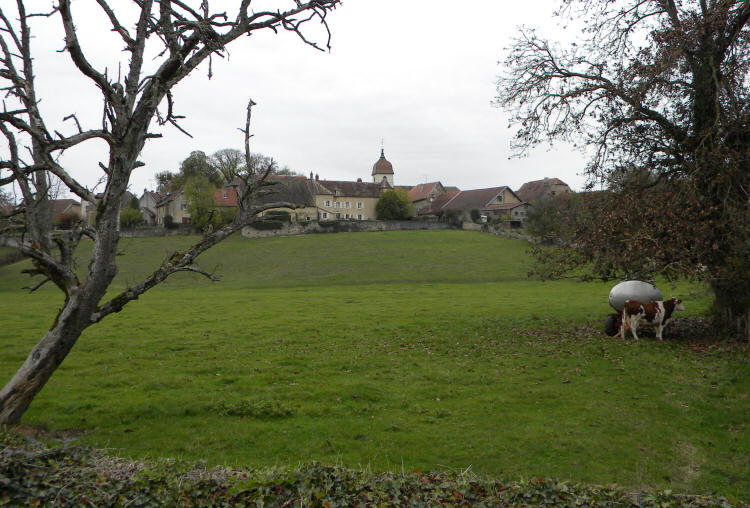 Le site de Moncey, photo D. Bion