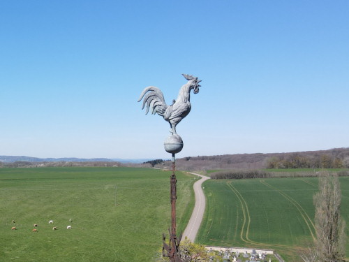 Le coq de l'église de Provenchère, photo E. Rey