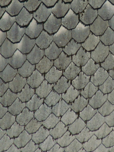 Détail des tuiles du clocher de l'église de Soulce-Cernay, photo J. Masset