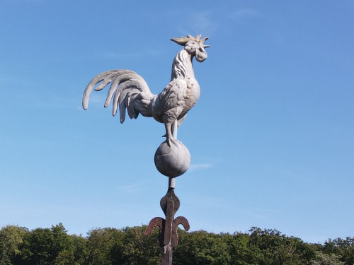 Le coq de l'église de Tavey, photo E. Rey