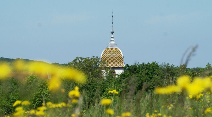 Le sitede Vouhenans, photo J. Masset