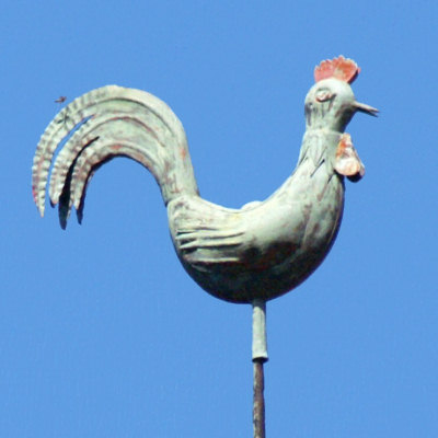 Le coq du clocher de la mairie d'Oricourt, photo J. Masset