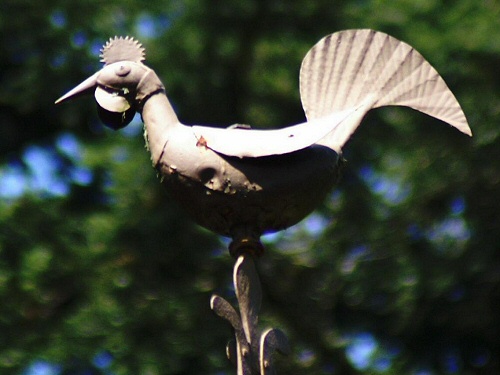 Coq de la chapelle d'Urtière, photoJ. Masset