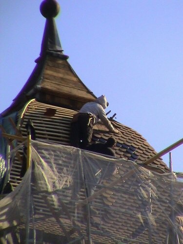 Changement des tuiles du clocher de Sellières